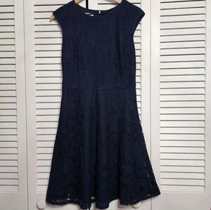 London Times • Lace Navy Fit & Flare Dress